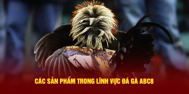Các sản phẩm trong lĩnh vực đá gà ABC8