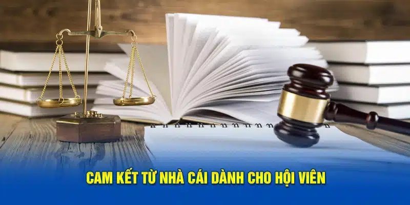 Cam kết từ ABC8 dành cho hội viên