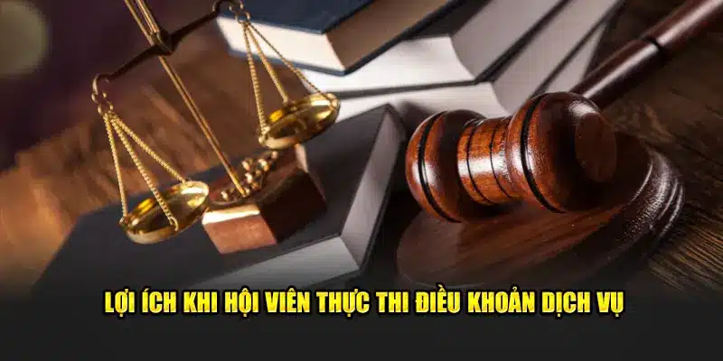 Lợi ích khi hội viên thực thi điều khoản dịch vụ