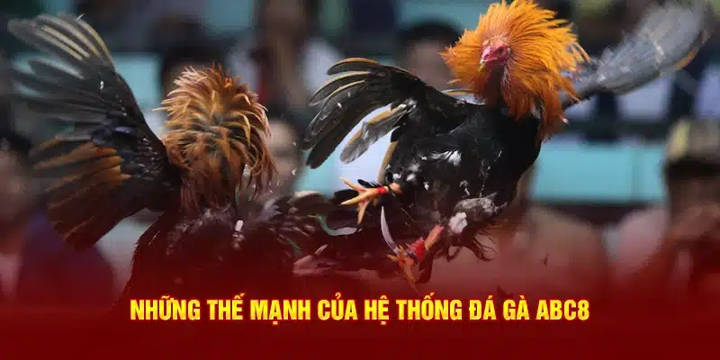 Những thế mạnh của hệ thống đá gà ABC8