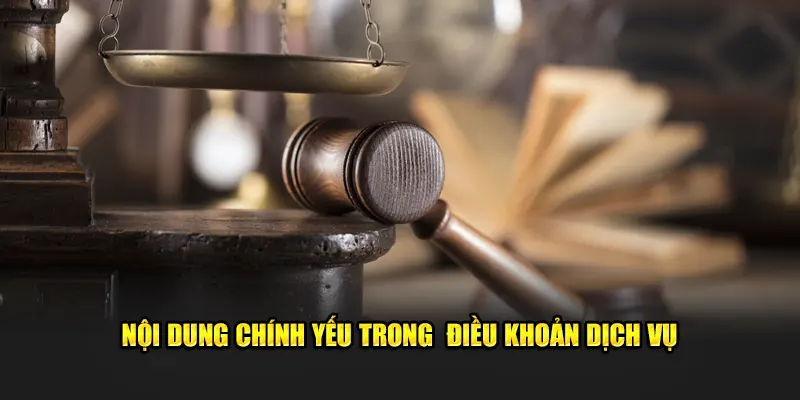 Nội dung chính yếu trong điều khoản dịch vụ