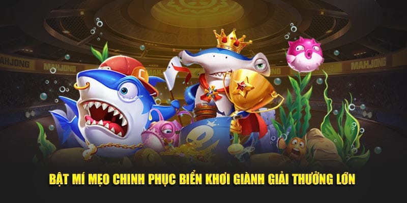 Bật mí mẹo chinh phục biển khơi giành giải thưởng lớn