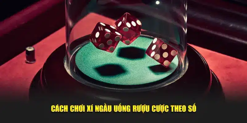 Cách chơi xí ngầu uống rượu cược theo số