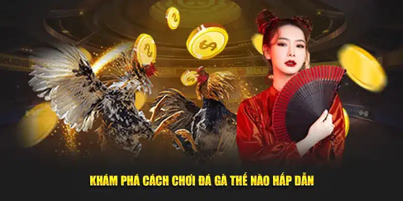 Khám phá cách chơi đá gà thế nào hấp dẫn