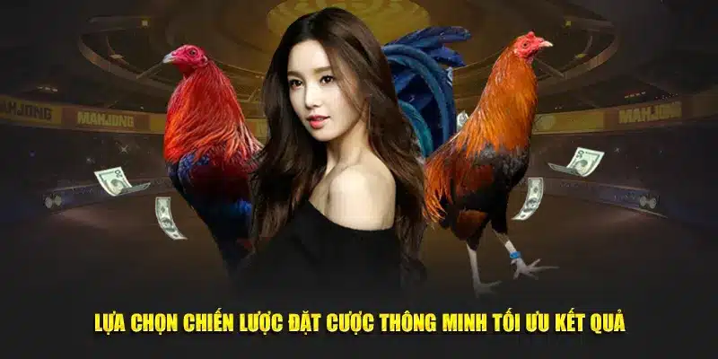 Lựa chọn chiến lược đặt cược thông minh tối ưu kết quả